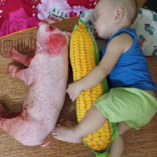 GỐI ÔM 3D HEO 60cm