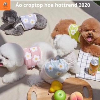 [HÀNG CAO CẤP] Áo Croptop Hoa Cho Thú Cưng Hottrend  Áo Váy Thú Cưng, Thời Trang Thú Cưng Dễ Thương Mùa Hè Mát Mẻ