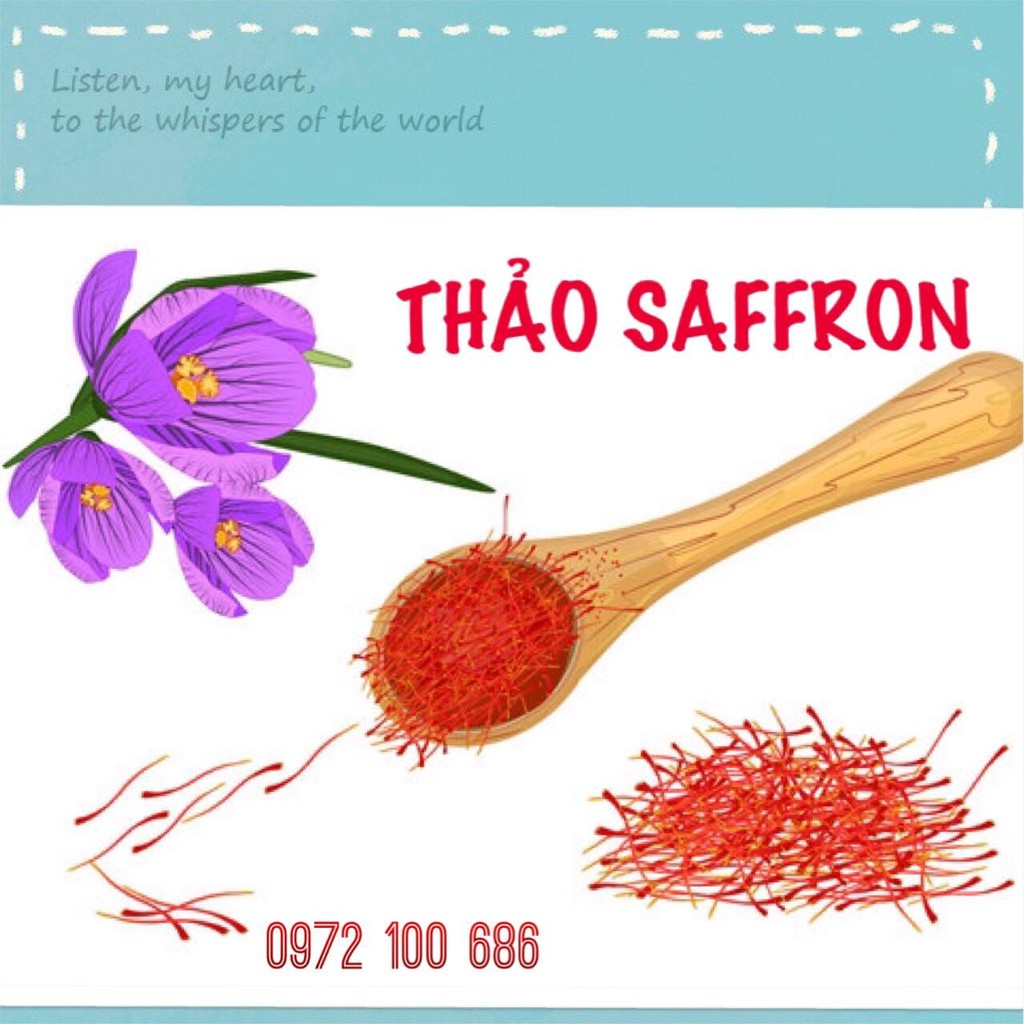 phuongthao106