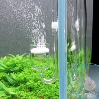 CỐC SỦI CO2 THUỶ TINH SIÊU MỊN