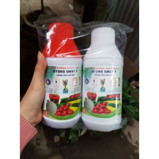 Hydro Umat F - Dung dịch dinh dưỡng thủy canh dành cho cây ăn quả