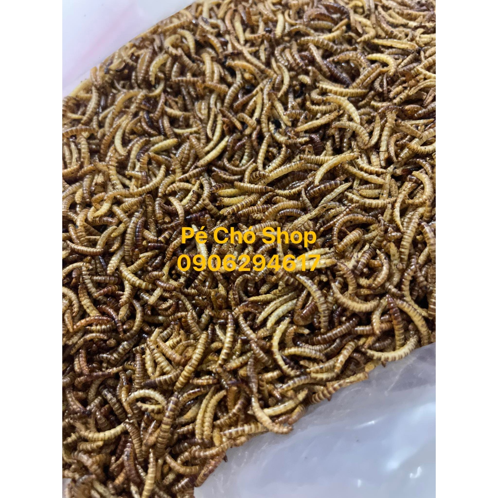 Sâu khô rang chín thức ăn dặm cho hamster ,nhím,sóc,..