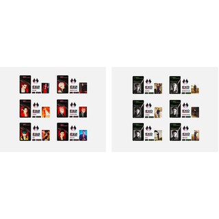 {SM official ~ Có sẵn} EXO Obsession goods: ID card & deco sticker set / Chia thành viên