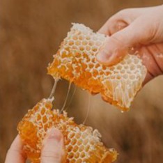 MẬT ONG NGUYÊN CHẤT Nội Địa 700g - Thế Hồng Honey