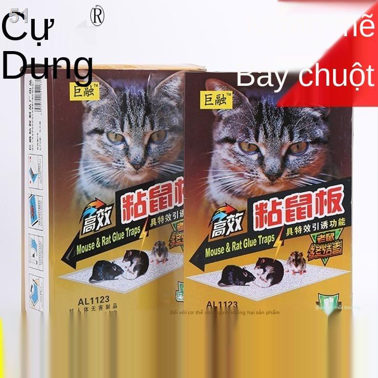 bảng dính chuột siêu mạnh thuốc đuổi dán diệt loài gặm nhấm bắt bẫy keo hiện vật gia dụngY