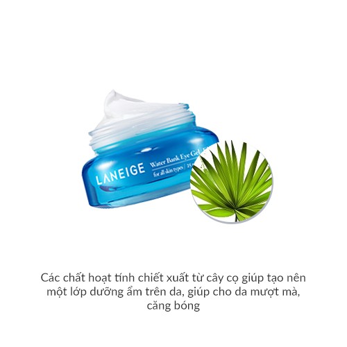 [Mã FMCGMALL -8% đơn 250K] Kem dưỡng ẩm giảm bọng mắt Laneige Water Bank Eye Gel 25ml