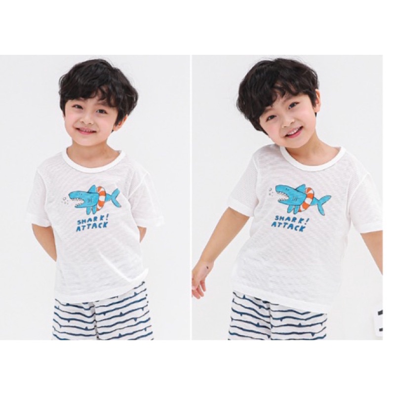 Bộ cotton giấy mềm Ppippilong xuất Hàn