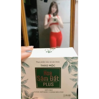 Hoa sâm đất ZN plus giảm cân - Mumbyshop