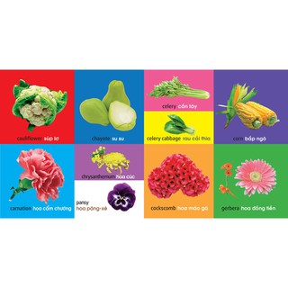Sách - 101 từ đầu tiên - Thực vật