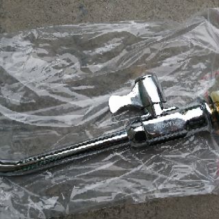 Com bo 10 Ngổng đơn TAROMA chậu cứng