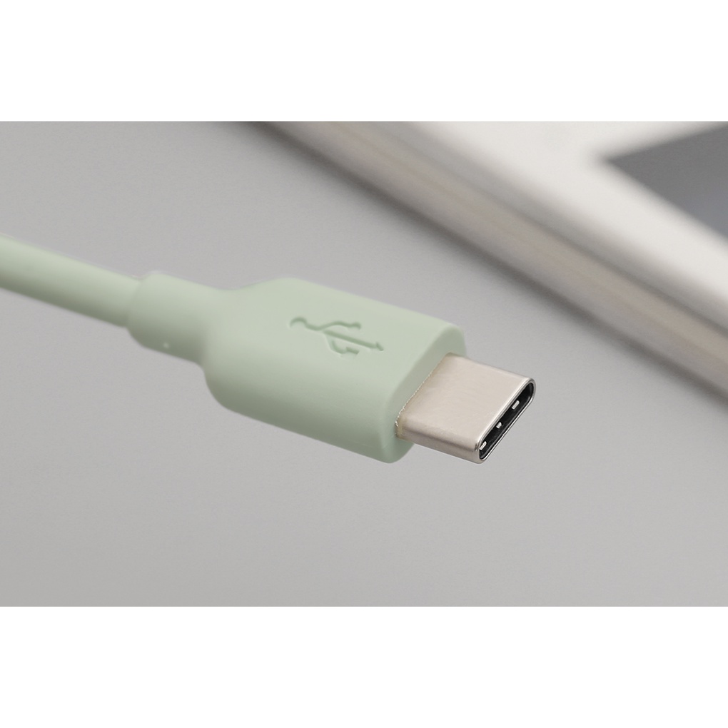 Cáp Type C 1m AVA DS449-TB