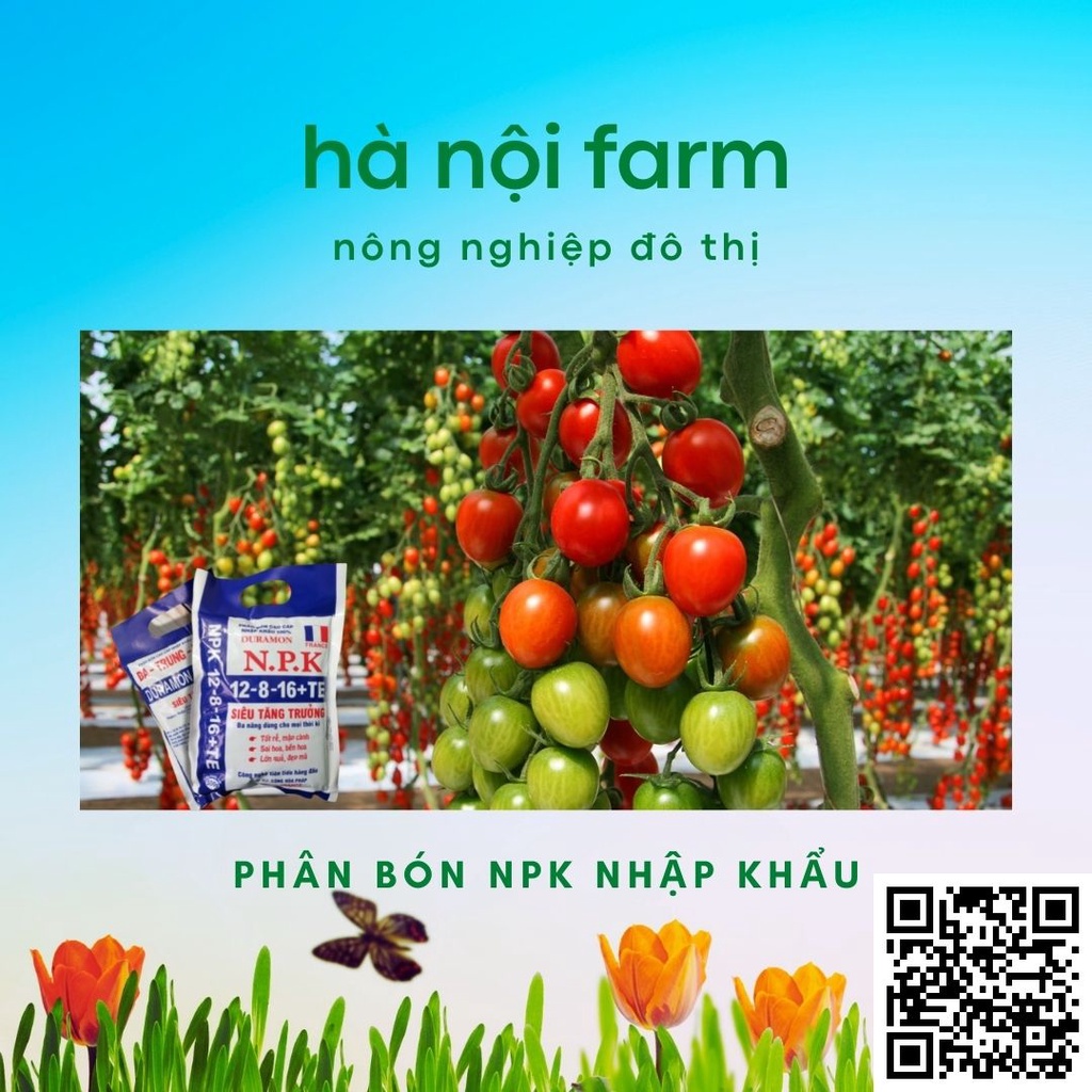 Phân bón NPK nhập khẩu 12-8-16+TE, Siêu Tăn Trưởng, Phân bón vi lượng. Gói 500g