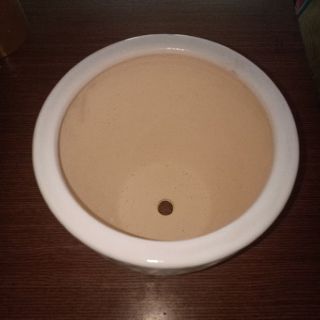 Compo 3 chậu sứ trắng trồng cây - Mã C1 - C2