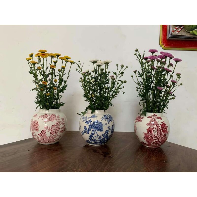 Chậu gốm mini trồng sen