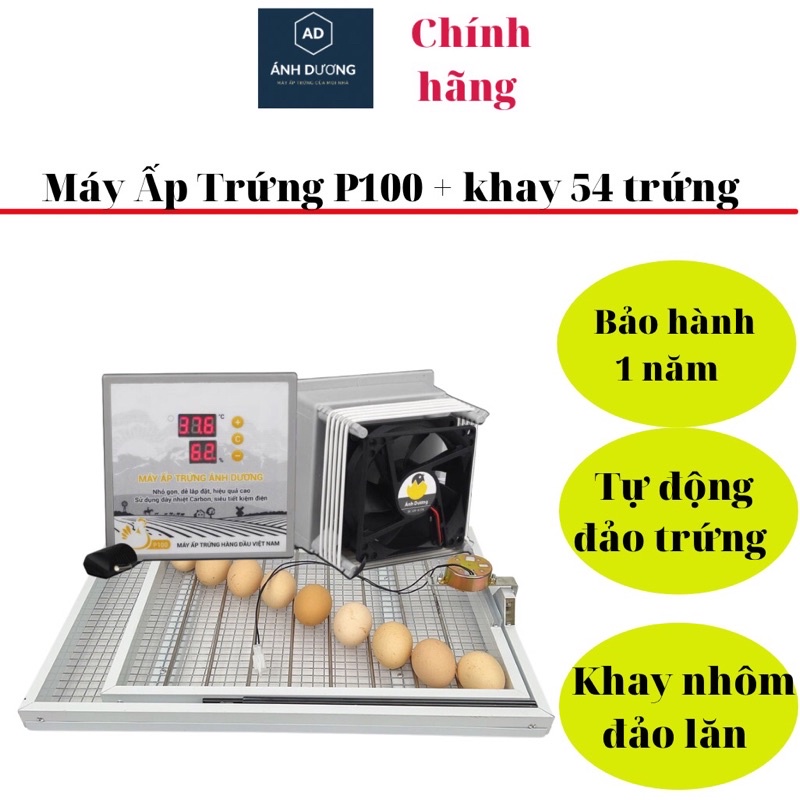 Máy ấp Trứng mini ánh dương p100- khay đảo nhôm 54 trứng - Tự động đảo trứng -Bảo hành 1 năm chính hãng
