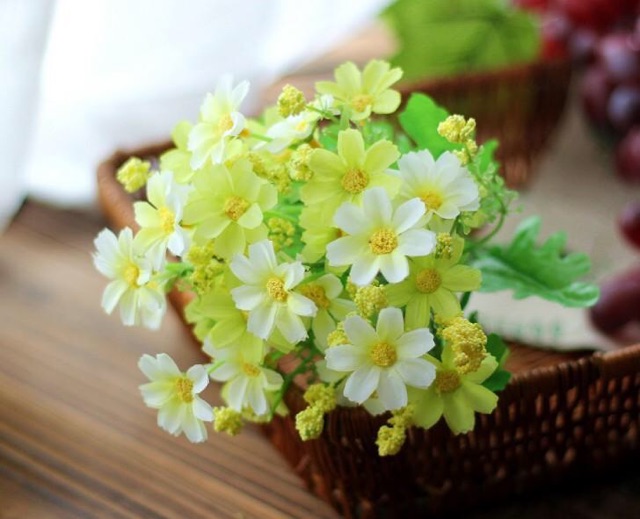 Hoa lụa - Hoa Cúc Én sắc màu trang trí nhà đẹp
