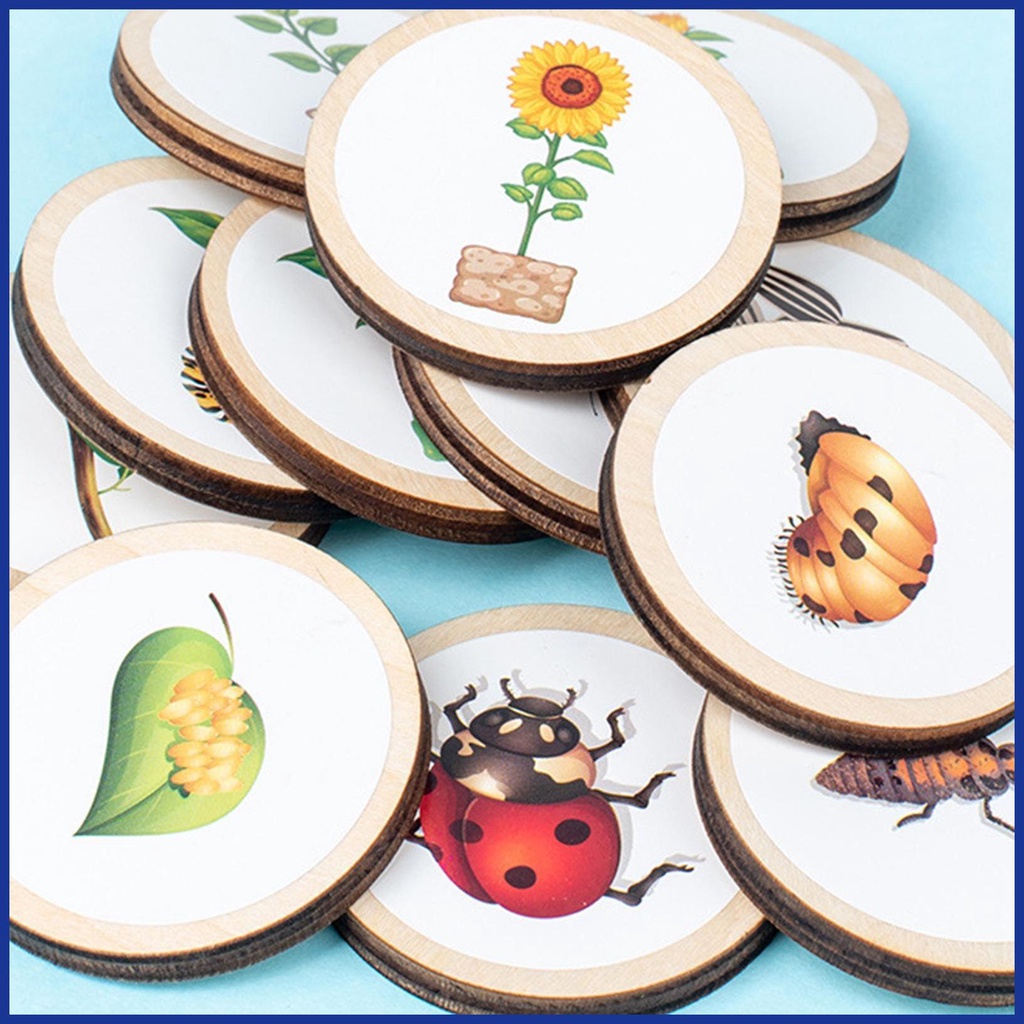 Bộ Đồ Chơi Xếp Hình Vòng Đời Của Đời Sống Bằng Gỗ Kèm Năm Ngăn Dành Cho Bé