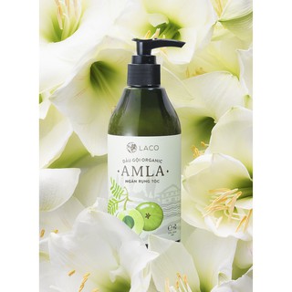 DẦU GỘI DẦU AMLA_LACO