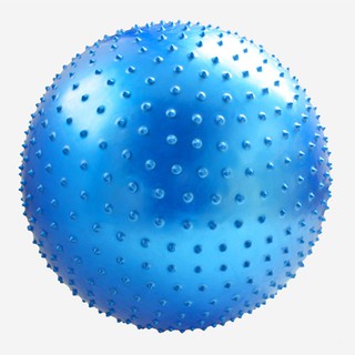 Bóng Yoga Gai 65CM