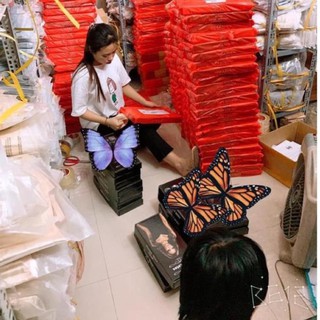 Sỉ 10 đai latex
