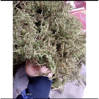 1KG Cây Thông Đất khô