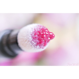 Son Catrice Lip Cushion mẫu Tester