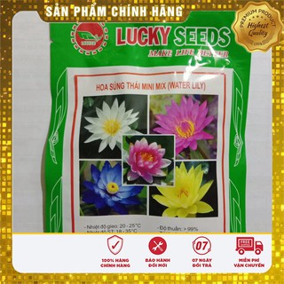 Hạt Giống Súng Thái Mini (5 hạt )