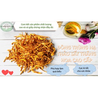 [Chính hãng] Đông trùng hạ thảo sấy thăng hoa cao cấp thương hiệu Nấm Ngon Việt - Hũ thủy tinh 10g sang trọng