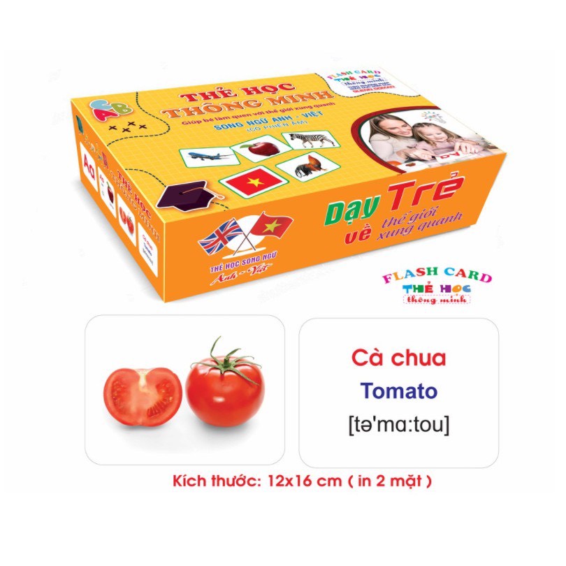 Thẻ học thông minh 18 chủ đề song ngữ Anh Việt loại to phiên bản đủ, thẻ học thông minh các chủ đề giáo dục cho bé