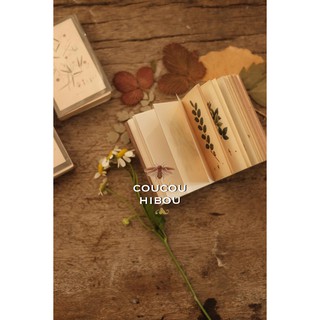 Mini Book: sổ lá cỏ 100 trang