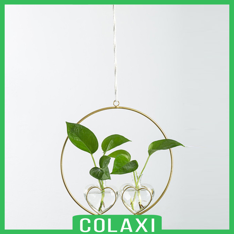 [COLAXI]Hydroponics Plant Vase Air Plant Fish Tank Flower Terrarium Arts