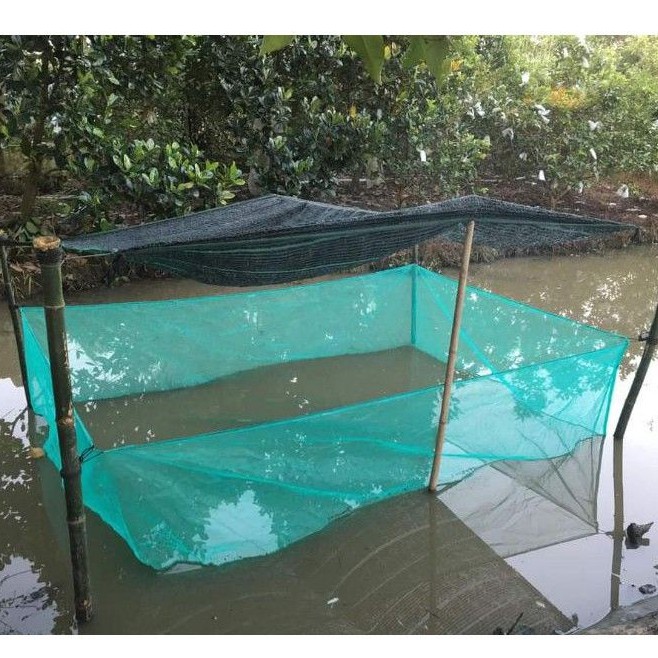 TRÁNG NUÔI ỐC, ẾCH , CÁ - LOẠI 3x2x1