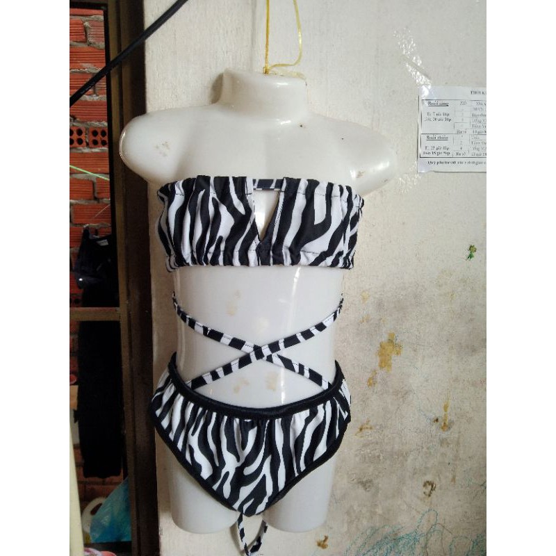 bikini ngựa vằn | BigBuy360 - bigbuy360.vn