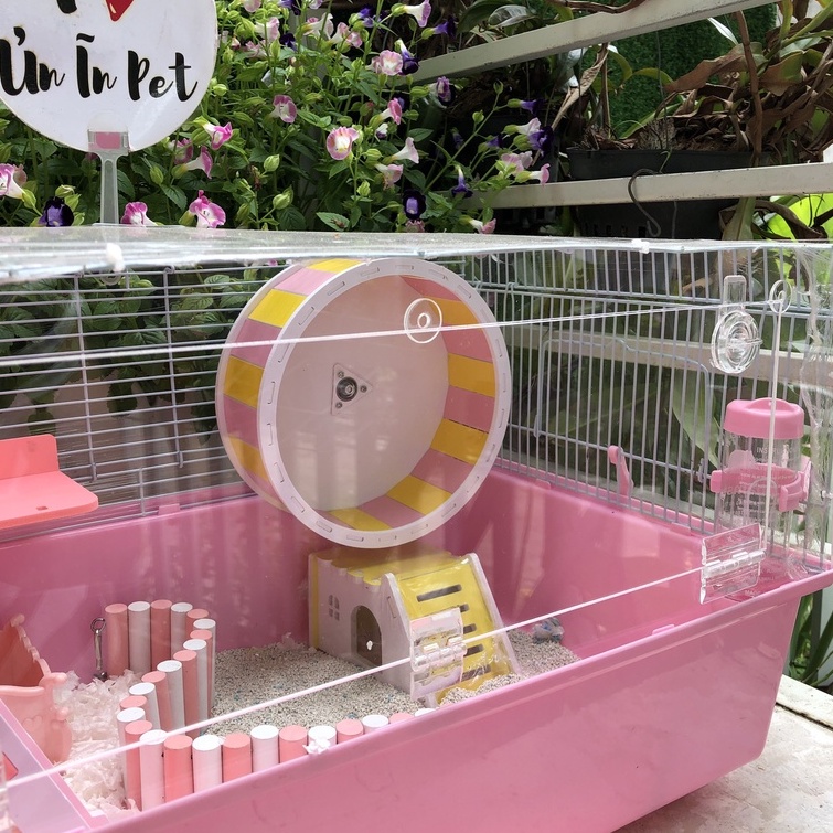 Wheel hamster, whell gỗ màu cho hamster, sóc, bọ, nhím