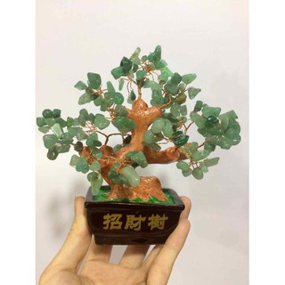 Phụ kiện làm cây tài lộc