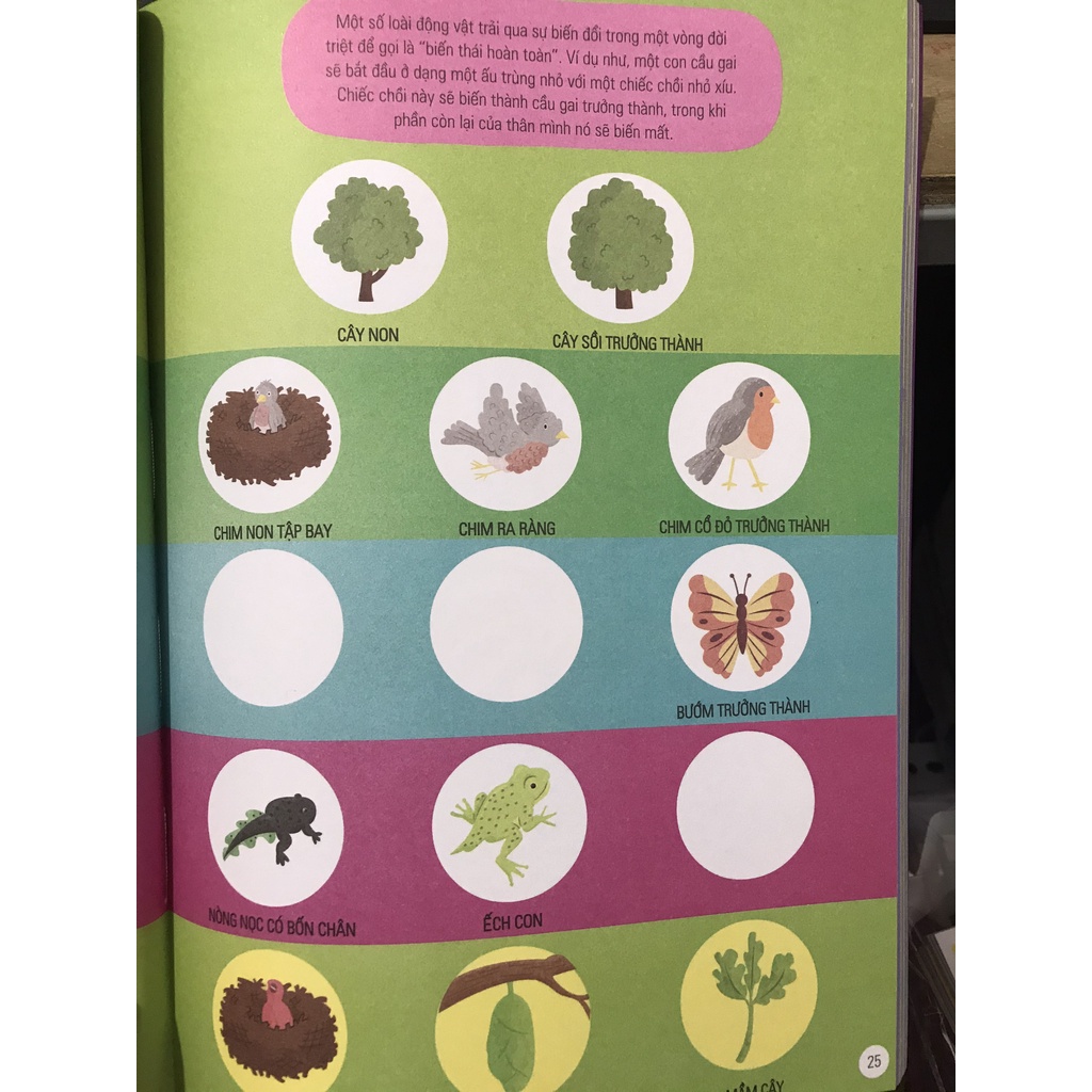 Sách - Cuốn sách khổng lồ về các hoạt động khám phá khoa học