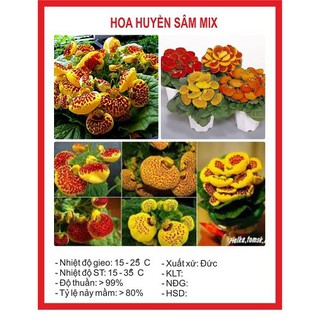 Hoa Huyền Sâm
