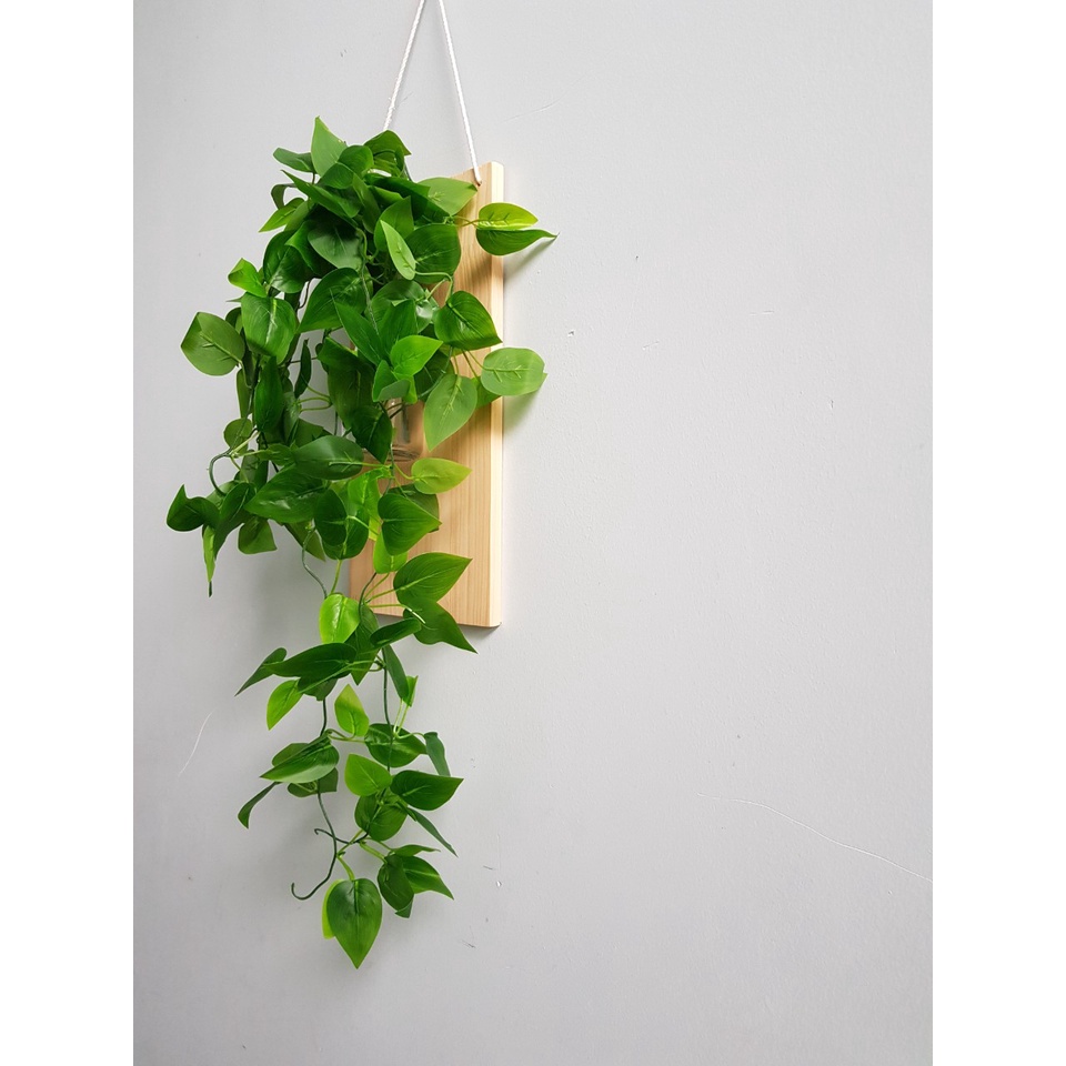 Khung Gỗ Treo Tường 15x30cm có khoan lỗ treo Bình Thuỷ Tinh Cắm Hoa, Cây Thuỷ Sinh - Kệ Gỗ Cắm Hoa Mẫu Mới