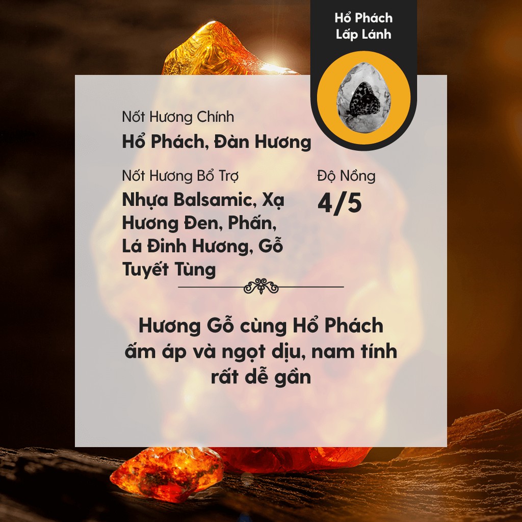 Tinh Dầu Phối Hương Gleaming Amber (Gỗ Ngọt Nhẹ) Làm Nến Thơm, Xông Thơm Phòng HENY GARDEN