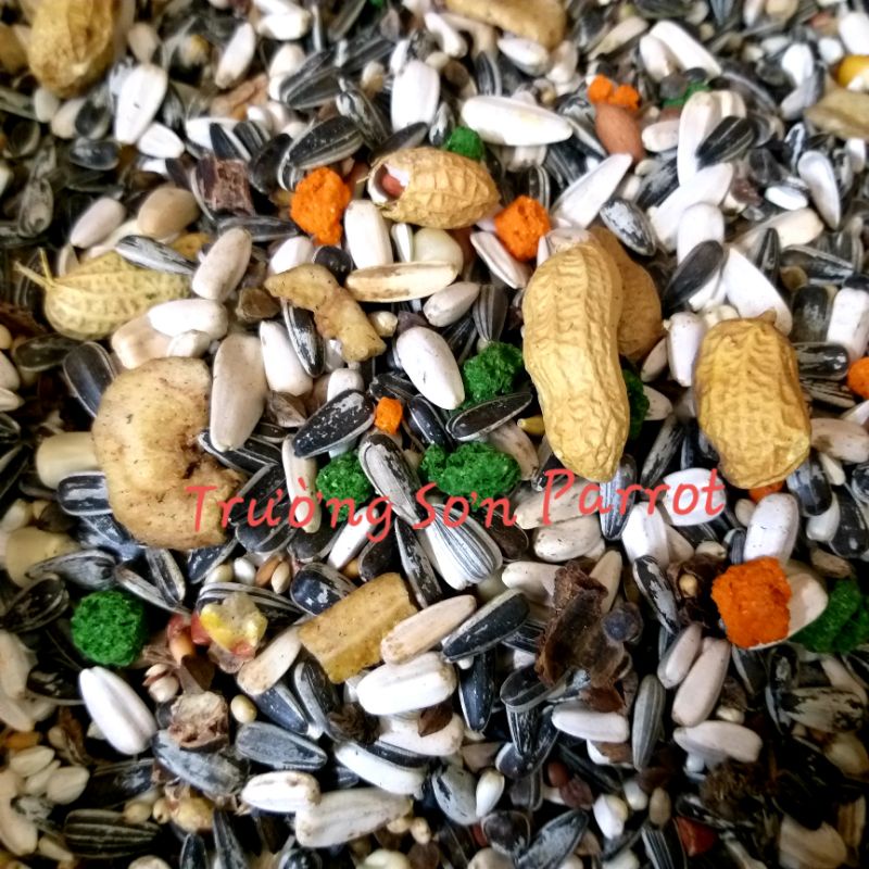 1kg Hạt trộn cho vẹt trung/ vẹt lớn PAPPAGALI của Manitoba (Ý) cho macaw, xám, amazon,...