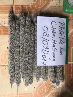 phân tan chậm