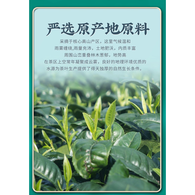 Trà Bích Loa Xuân Thùng Gỗ Cao Cấp 500 gram