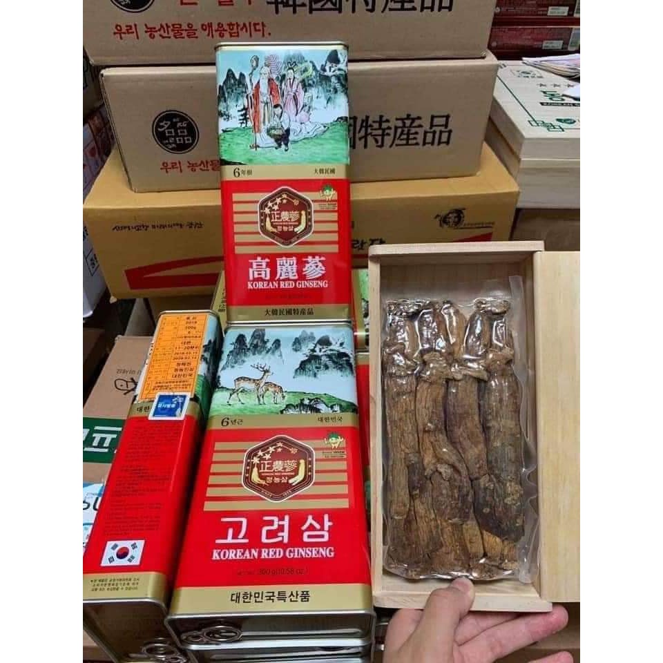 Sâm khô nguyên củ hộp thiếc- hộp 300g loại 11-20 củ