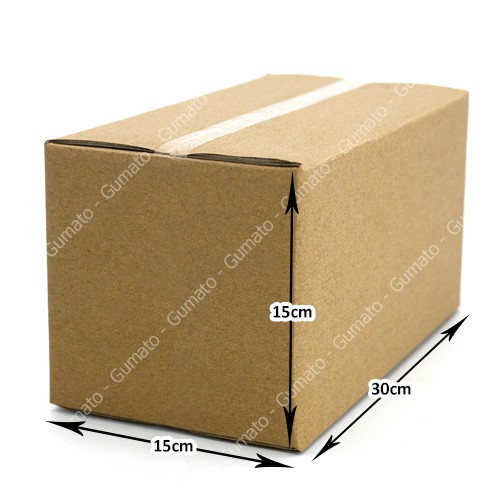 Combo 20 thùng giấy P80 size 30x15x15 hộp carton gói hàng Everest