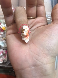 Hoa bột nail hoa ôm đá 1b/12k
