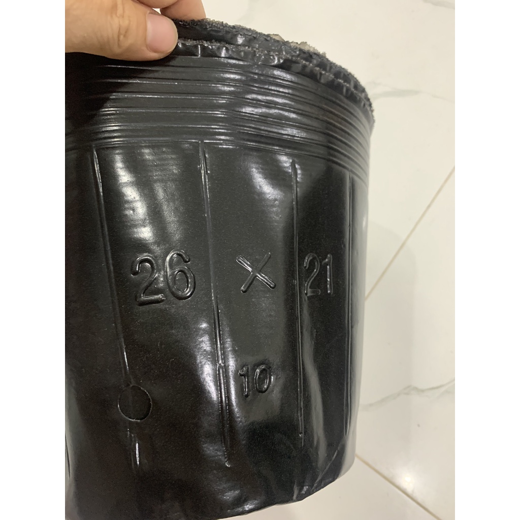 Bầu ươm cây , chậu ươm cây nhiều kích thước hàng loại 1 đẹp