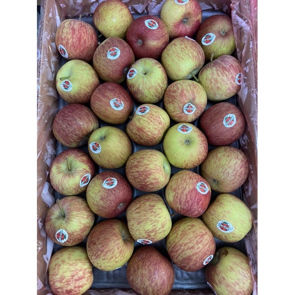 Táo túi Nam Phi Bịch 3kg