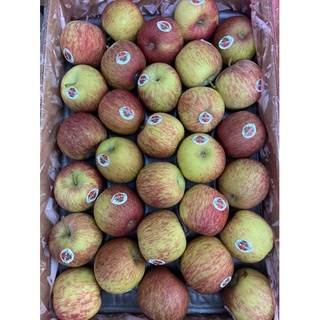 Táo túi Nam Phi Bịch 3kg