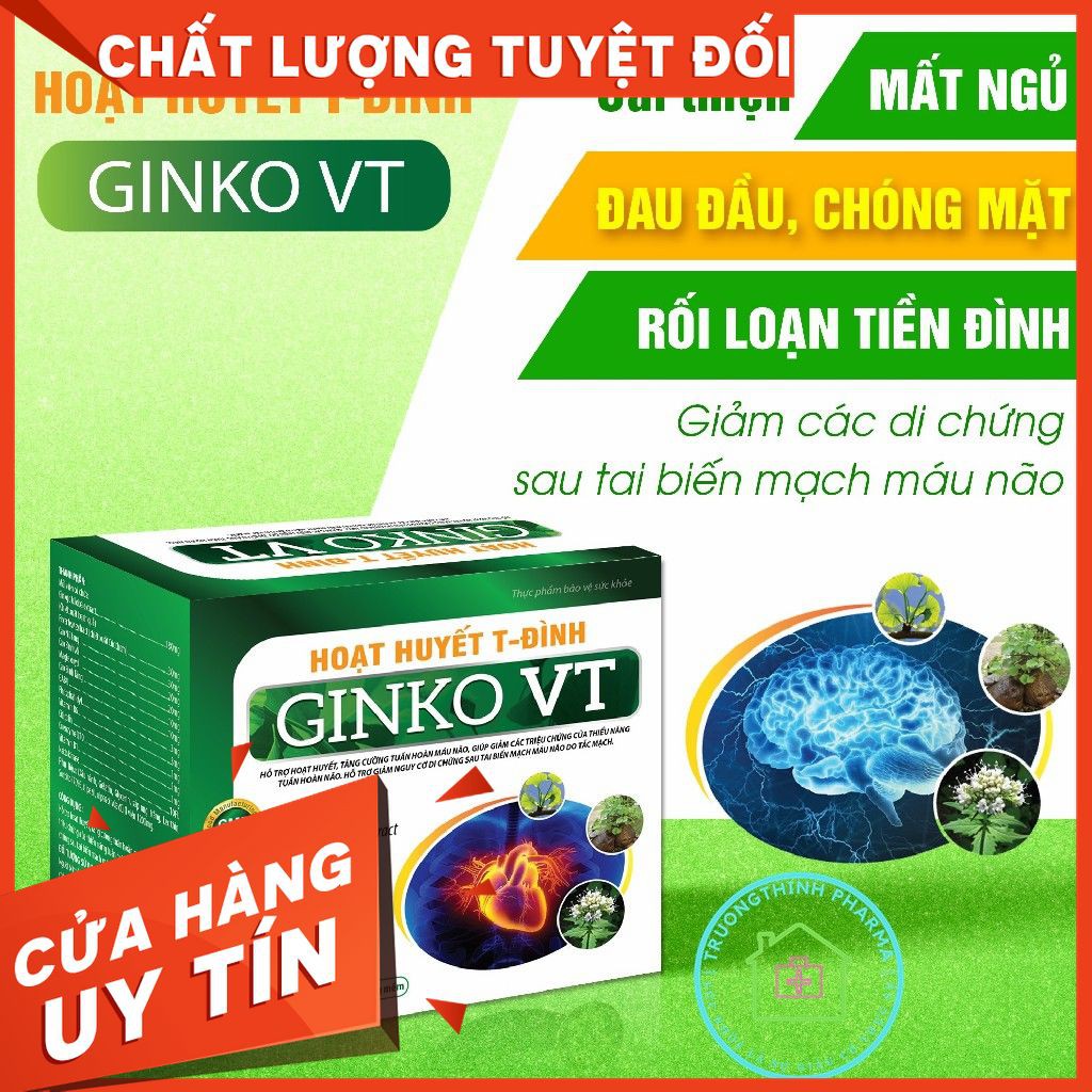 HOẠT HUYẾT T-ĐÌNH GINKO VT hộp 100 viên [ĐẠT CHUẨN GPP]