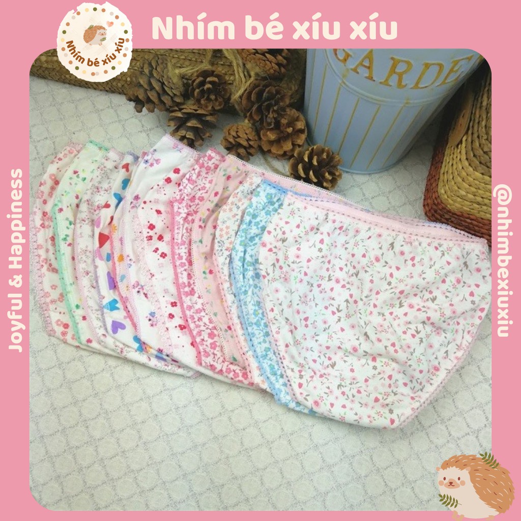 Quần lót cotton bé gái (7-35 kg) - Quần chip It's a girl VT91